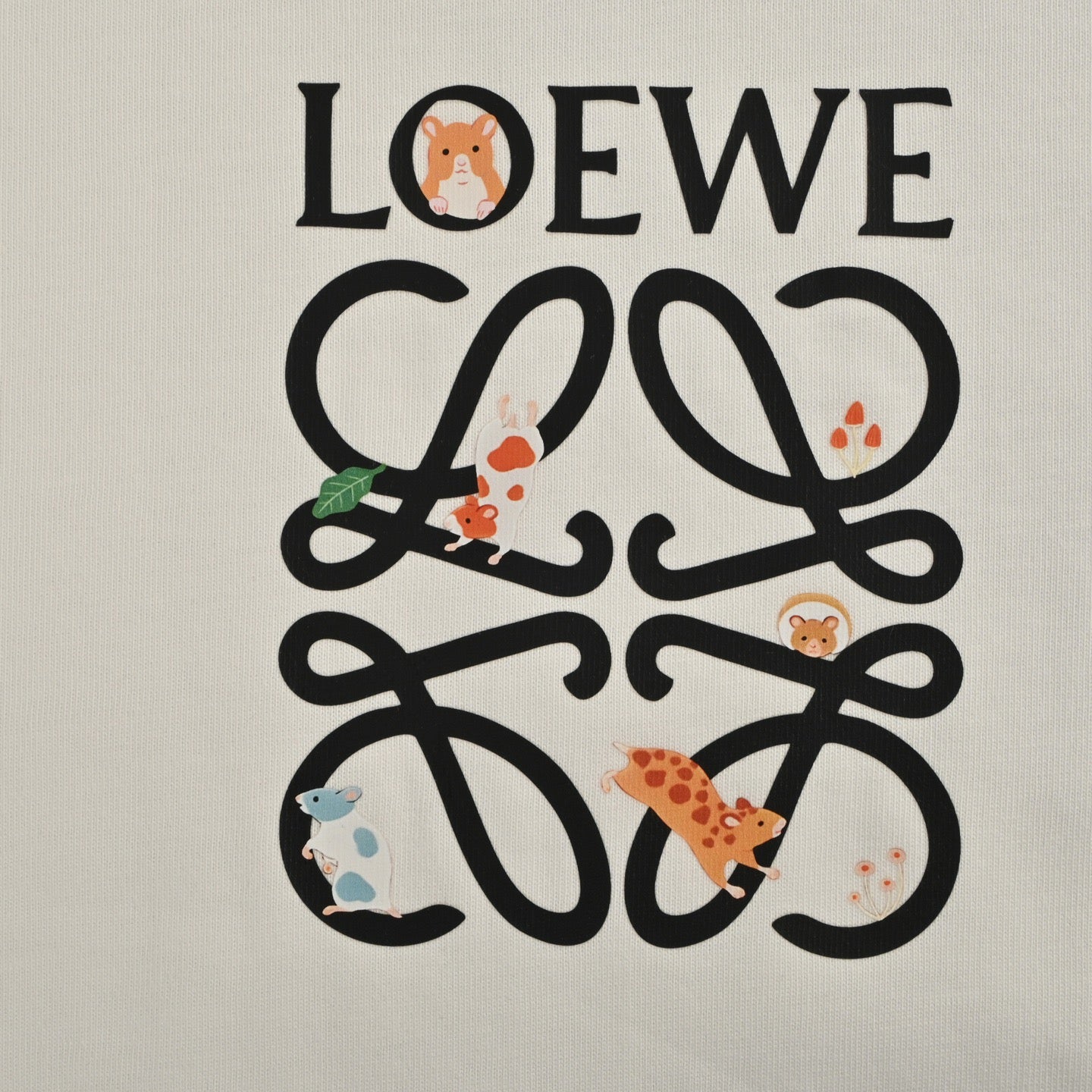 LOEWE Pure Cotton T-Shirt