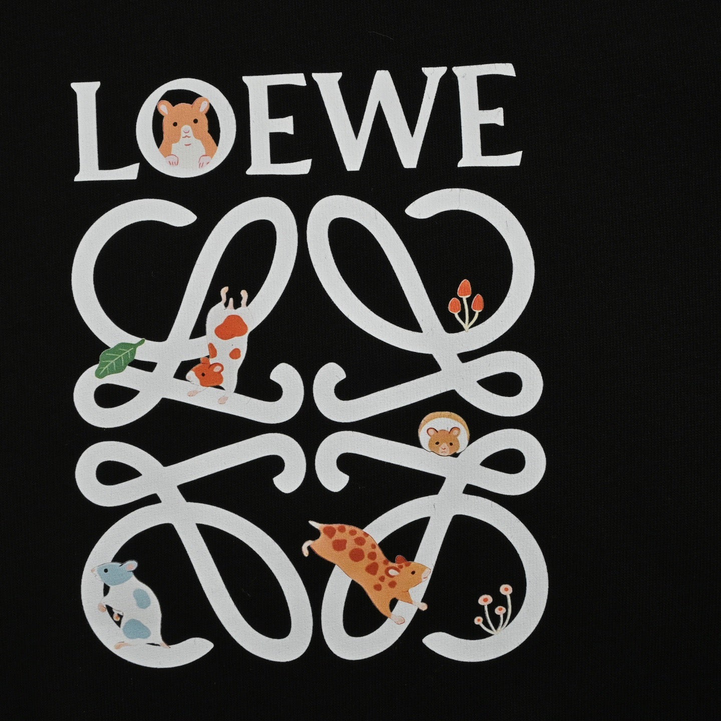 LOEWE Pure Cotton T-Shirt