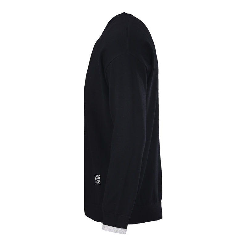 LOEWE Long-Sleeve Cashmere Sweater