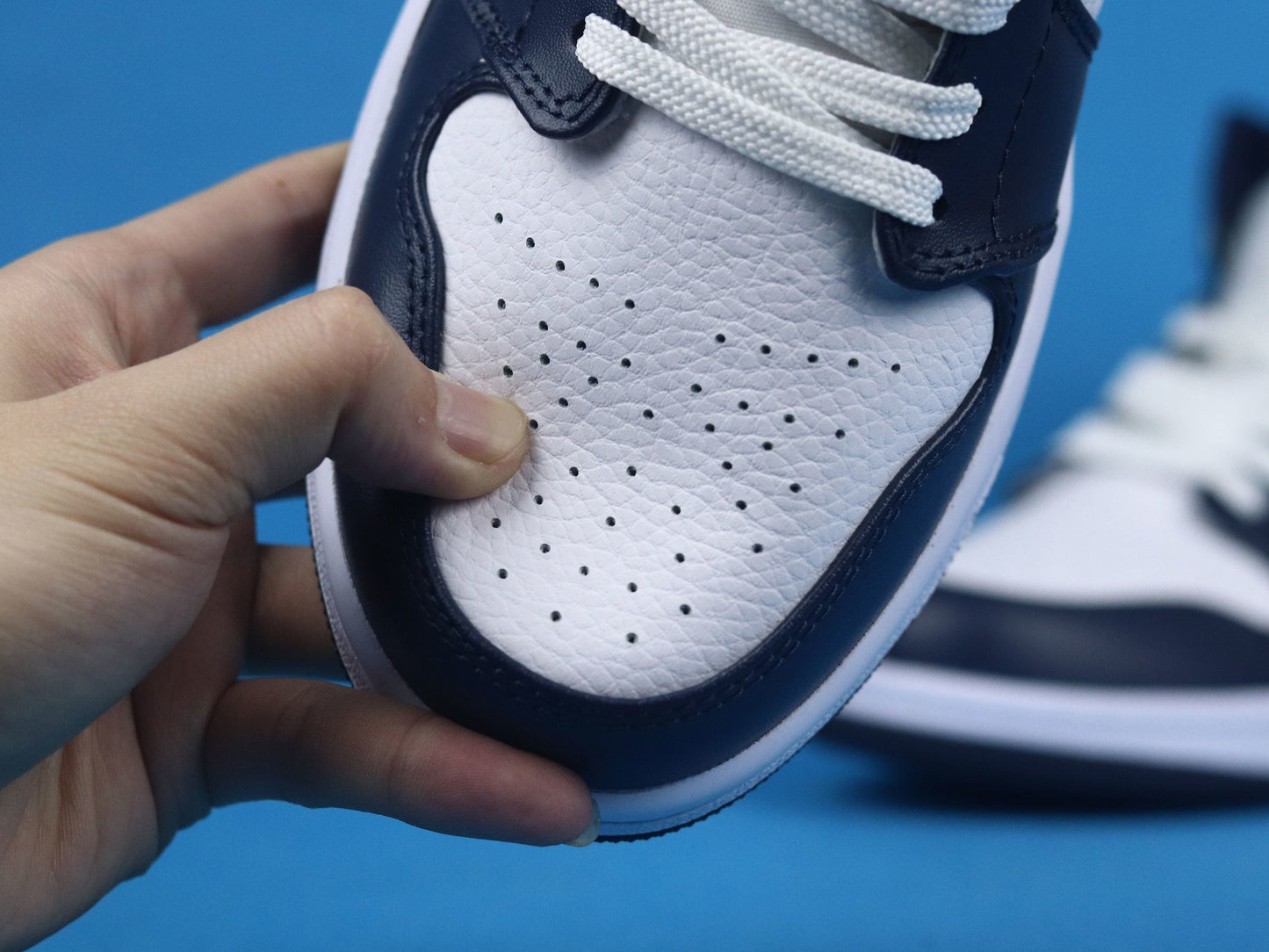Air Jordan 1 Mid-Top Sneakers (Men's & Women's)